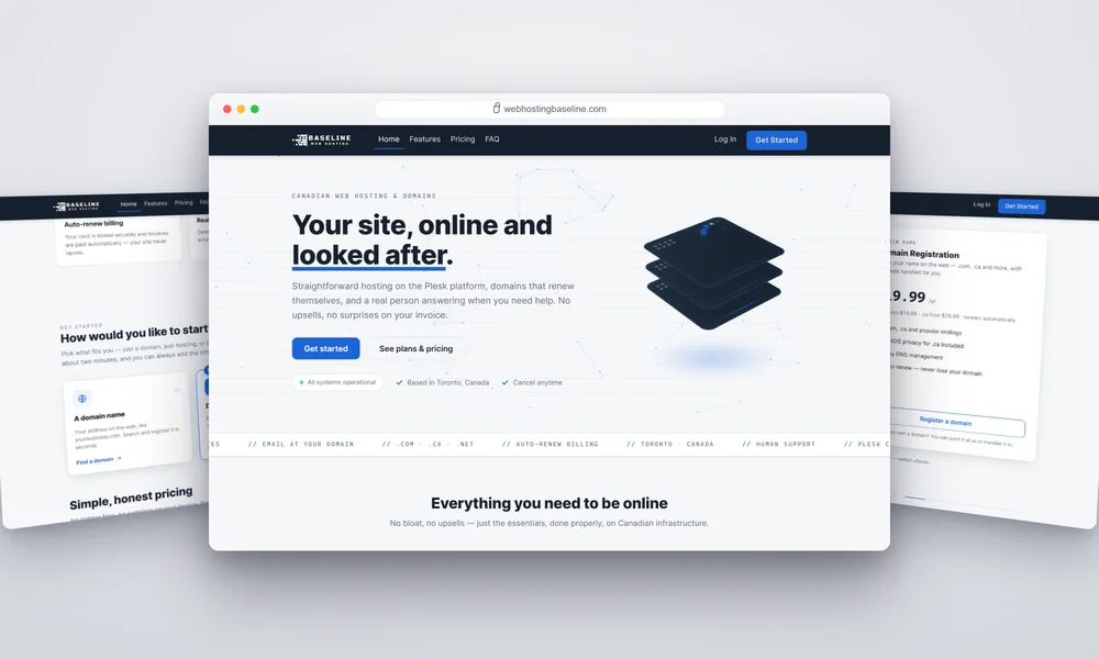 web hosting website design — website homepage designed by Lead Web Studio