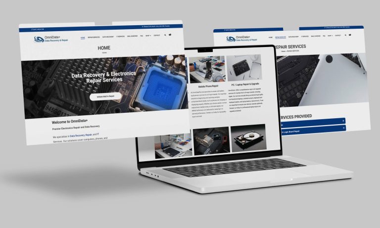 OmniDataPlus website homepage showcasing data analytics and business intelligence services