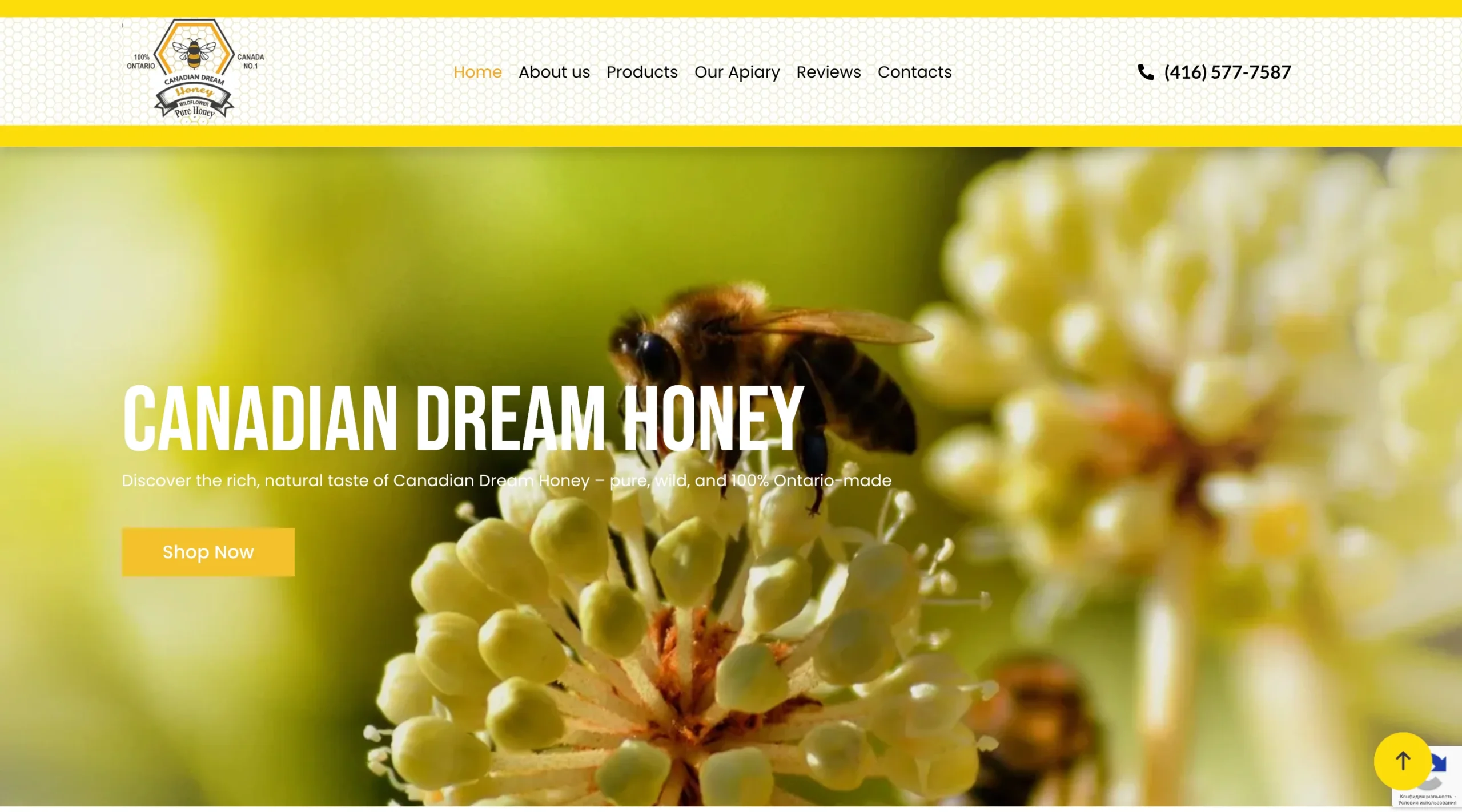 local honey producer website design Ontario